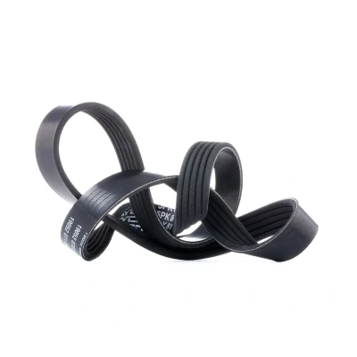 Abbildung von DAYCO 5PK810 Keilrippenriemen 810,0 5 BMW: 3 Limousine, Touring, Limousine