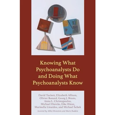 Abbildung von Knowing What Psychoanalysts Do and Doing Know