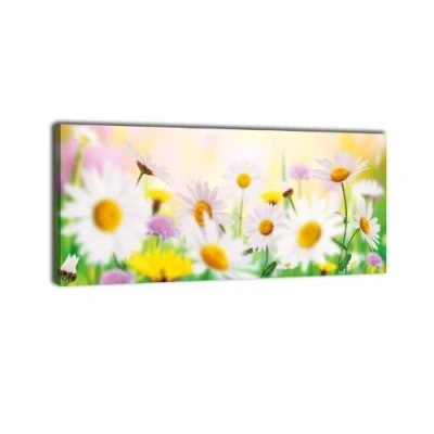 Abbildung von wandmotiv24 Leinwandbild Panorama Nr. 297 Daisyfield 100x40cm, Keilrahmenbild, Bild auf Leinwand, Gänseblümchen Bunt Wiese