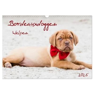 Abbildung von Bordeauxdoggen Welpen (Wandkalender 2025 DIN A3 quer), CALVENDO Monatskalender