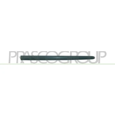 Abbildung von Zier /Schutzleiste, Tür PRASCO PG0091403