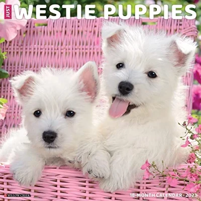 Abbildung von Just Westie Puppies 2023 Wall Calendar
