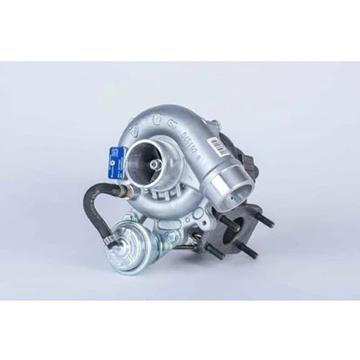 Abbildung von BorgWarner DS118622 Pumpe, Lamellenkupplung Allradantrieb VOLKSWAGEN: Transporter 5 Kastenwagen, Multivan (7HM