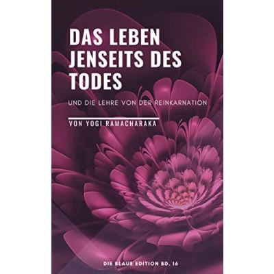 Abbildung von DAS LEBEN JENSEITS DES TODES