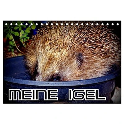 Abbildung von Meine Igel (Tischkalender 2025 DIN A5 quer), CALVENDO Monatskalender