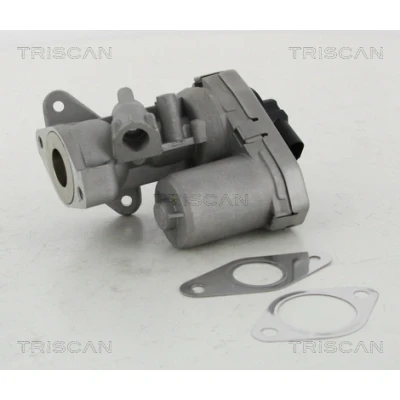 Abbildung von TRISCAN 8813 10002 AGR Ventil elektrisch mit Dichtungen FORD: Transit Mk6 Kastenwagen, Pritsche/Fahrgestell, Bus