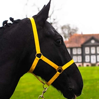 Abbildung von Halfter für Pferd Warmblut, Vollblut, Kaltblut Stallhalfter, Weidehalfter, 2 Fach verstellbar an Kinnriemen und Genickstück, sicher &amp; reißfest (Gelb, Kaltblut)