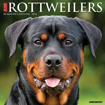 Abbildung von Just Rottweilers 2024 12 X Wall Calendar