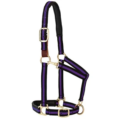 Abbildung von Weaver Leather Padded Breakaway Adjustable Chin and Throat Snap Halter, 1&quot; Average Horse or Yearling Draft, Purple Striped