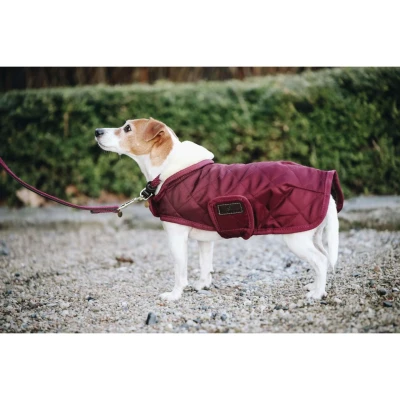 Abbildung von Kentucky Hundejacke Original Royal Bordeaux 42cm