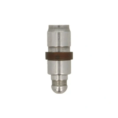 Abbildung von INA 420 0254 10 Hydrostößel hydraulisch VOLKSWAGEN: Golf 7 Schrägheck, Polo V Tiguan I, AUDI: A4 B9 Avant, A6 C7 A3 Schrägheck