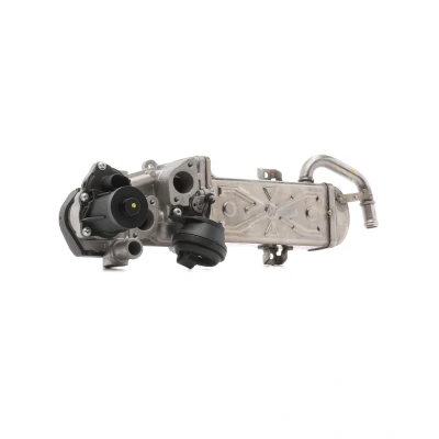 Abbildung von DRI 717730099 AGR Modul mit Dichtungen, Kühler VOLKSWAGEN: Polo V Schrägheck, Touran I, Sharan II, SEAT: Alhambra Ibiza 4 ST