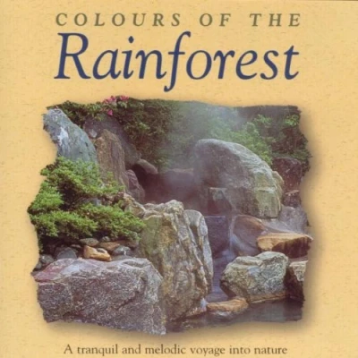 Abbildung von Colours of the Rainforest (Regenwald Musik zum Entspannen und Wohlfühlen)