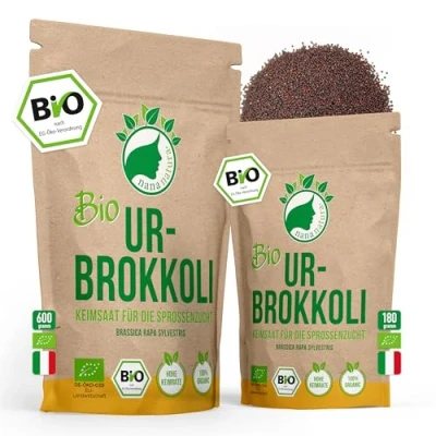 Abbildung von NanaNatura&#039;s Bio Ur Brokkoli Sprossen Samen 600g VORTEILSPACK Keimfähige mit hohem Sulforaphan Gehalt zur Brokkolisprossen Zucht Microgreens fürs Sprossenglas