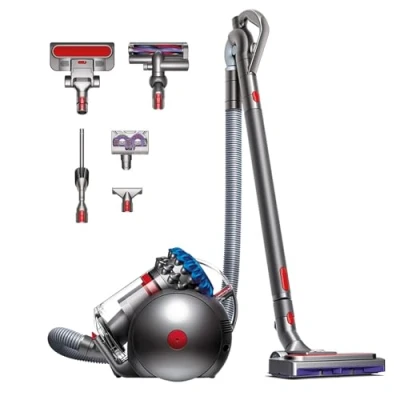 Abbildung von Dyson Big Ball Absolute 2