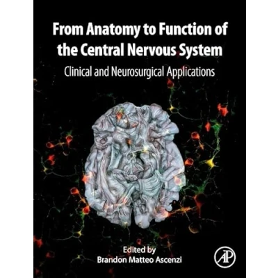 Abbildung von From Anatomy to Function of the Central Nervous System: Clinical and Neurosurgical Applications