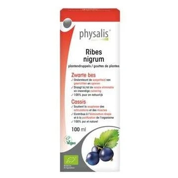 Abbildung von Ribes Nigrum 100 ml