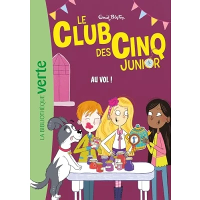 Abbildung von Le Club des Cinq Junior 15 Au vol !: