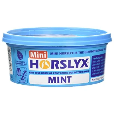 Abbildung von Mini Horslyx Leckmasse, Pferde Nahrungsergänzung, Mint 650g
