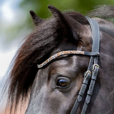 Abbildung von Kavalkade Stirnriemen Button Knopfverschluss Candy Pony