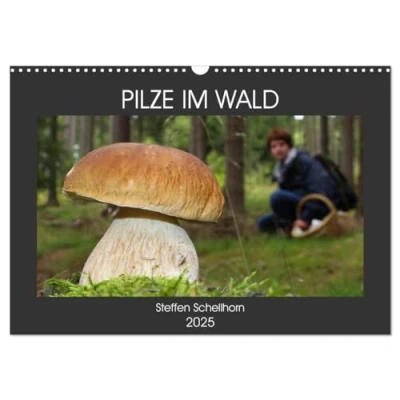 Abbildung von PILZE IM WALD (Wandkalender 2025 DIN A3 quer), CALVENDO Monatskalender