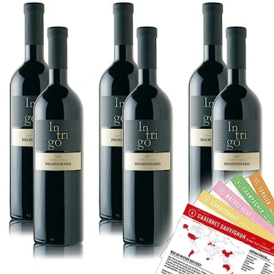 Abbildung von Intrigo Negroamaro Puglia, trocken, sortenreines Weinpaket + VINOX Winecards (6x0,75l)