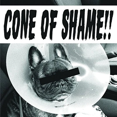 Abbildung von Cone of Shame