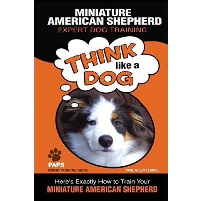 Abbildung von Miniature American Shepherd Expert Dog Training: &quot;Think Like a Dog&quot; Here&#039;s Exactly How to Train Your (Miniature Training, Band 1)