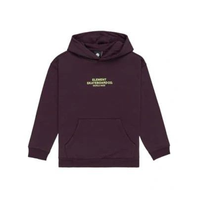 Abbildung von Element Skateboard Kapuzenpullover für Kinder, Größe: 176, Green
