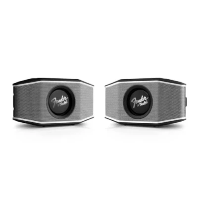 Abbildung von Teufel Fender x ROCKSTER GO 2 Stereo Set Bluetooth Speaker Tragbarer Lautsprecher mit Langer Akkulaufzeit (28 h), Wasserdicht IP67, Wireless Musikstreaming, Outdoor Steel Black (Schwarz)