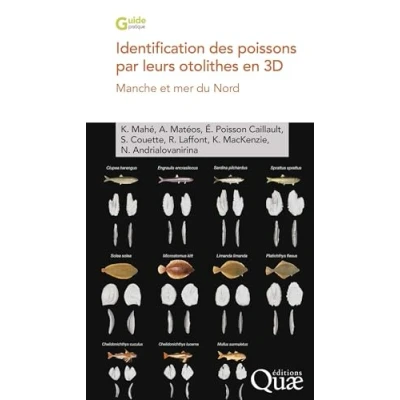 Abbildung von Identification des poissons par leurs otolithes en 3D: Manche et mer du Nord