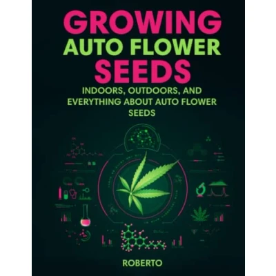 Abbildung von growing autoflower seeds: indoors, outdoors, and everything about seeds