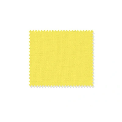 Abbildung von La Pajarita TS02 Stoffmalfarbe, Farbe Zitrone