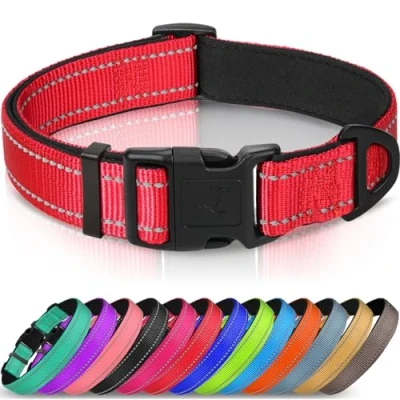 Abbildung von Joytale Halsband Hund, Gepolstertes Hundehalsband Breit aus Neopren Nylon Verstellbar für Mittelgroße Hunde, Weich und Reflektierend Hundehalsbänder, M, Rot
