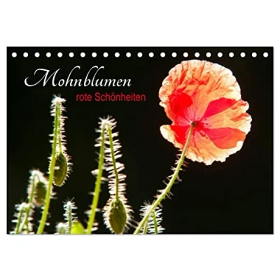 Abbildung von Mohnblumen rote Schönheiten (Tischkalender 2025 DIN A5 quer), CALVENDO Monatskalender