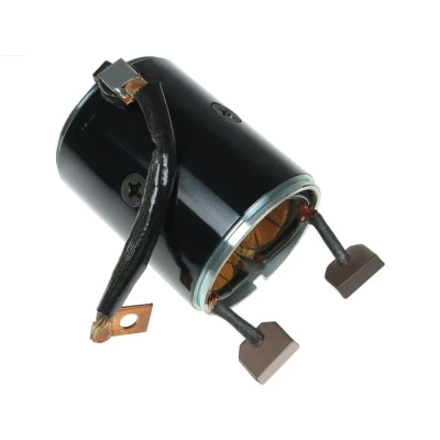 Abbildung von AS PL SF5003 Erregerwicklung, Starter
