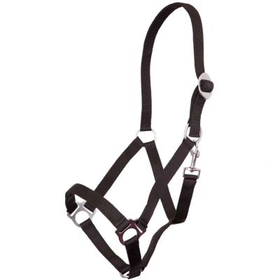 Abbildung von Premiere Halfter Standard Schwarz Pony
