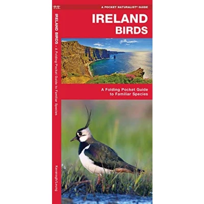 Abbildung von Ireland Birds: A Folding Pocket Guide to Familiar Species (A Naturalist Guide)