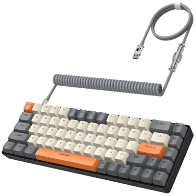 Abbildung von YINDIAO T8 60% Gaming Tastatur,68 Tasten,Kompakte,Kabelgebundene,Mechanische Mini Tastatur mit 18 Chroma RGB Hintergrundbeleuchtung,Blauer Schalter,USB C Spiraltastaturkabel,für PC,PS4 Dunkelgrau