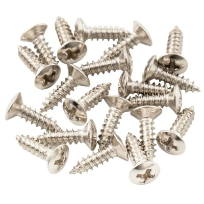 Abbildung von Musiclily Basic 2,5x10mm Metall Metrisches Gewinde Pickguard Jack Schrauben Truss Rod Cover Befestigungs für Epiphone Les Paul Style E Gitarre, Nickel (20er Set)