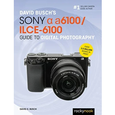 Abbildung von David Busch&#039;s Sony Alpha A6100/Ilce 6100 Guide to Digital Photography (The Busch Camera Guide)