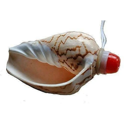 Abbildung von Fair Trade Vietnamesisch Sea Shell Horn/Flöte/Vuvezela mit Umhängekordel