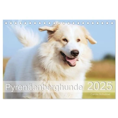 Abbildung von Pyrenäenberghunde (Tischkalender 2025 DIN A5 quer), CALVENDO Monatskalender