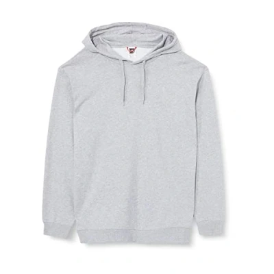 Abbildung von THE NORTH FACE Kapuzenpullover NF0A5IGCDYX2 TNF Light Grey Heather M