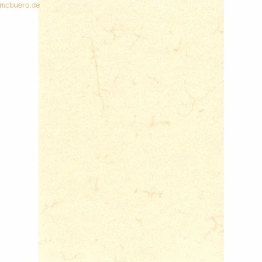 Abbildung von 10 x RNK Elefantenhautpapier neutral A4 190 g/qm weiß
