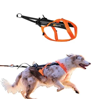 Abbildung von Non stop Dogwear Freemotion 5.0 orange varianten 6