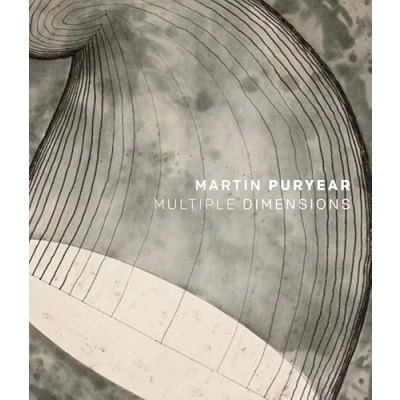 Abbildung von Martin Puryear: Multiple Dimensions (Elgar EU Energy Law series)