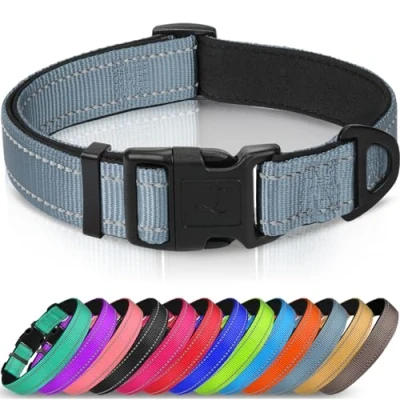 Abbildung von Joytale Halsband Hund, Gepolstertes Hundehalsband Breit aus Neopren Nylon Verstellbar für Kleine Hunde, Weich und Reflektierend Hundehalsbänder, S, Grau