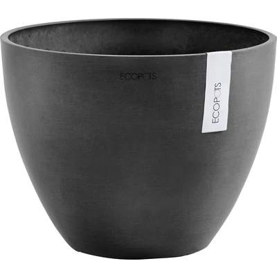 Abbildung von Ecopots Antwerpen konisch 40 cm dunkelgrau Pflanzen /Blumentopf