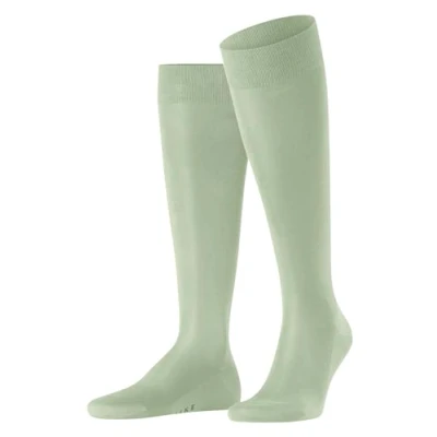 Abbildung von Falke Tiago Kniestrümpfe Pale olive, Herren, Größe: 43 44, olive
